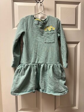 Mini Boden Green Girls Long Sleeve Flair Dress with Daisy Embroidery